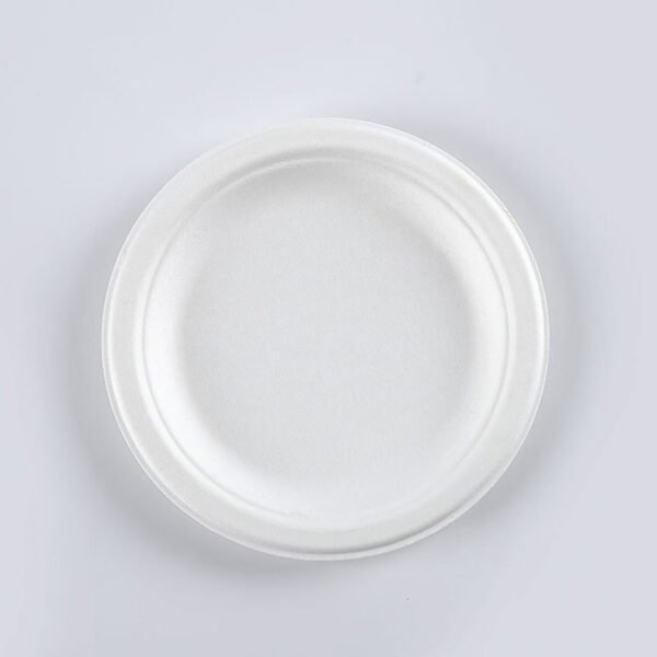 6789 inch bagasse plate001
