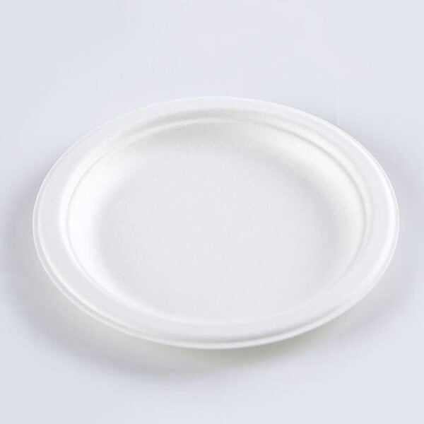 6789 inch bagasse plate007
