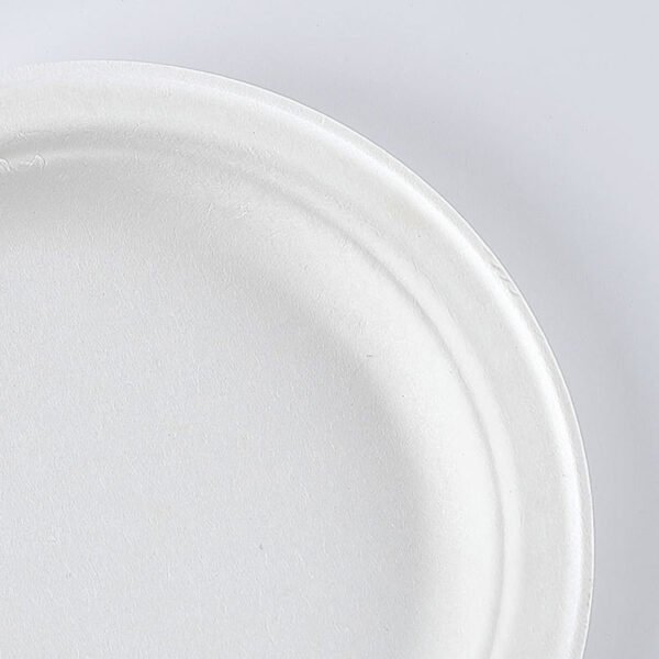 6789 inch bagasse plate008
