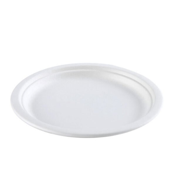 6789 inch bagasse plate009
