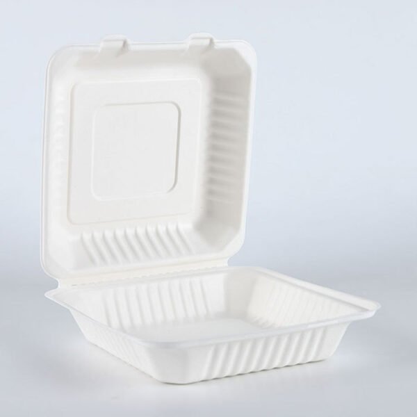 bagasse clamshell001