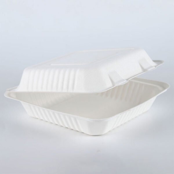 bagasse clamshell002