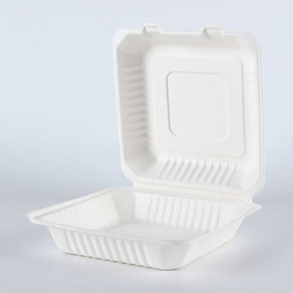 bagasse clamshell003