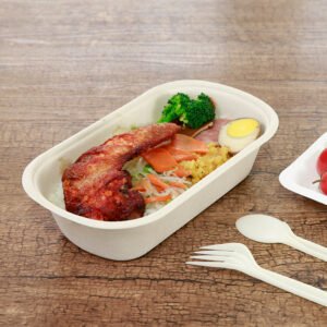 bagasse food container002