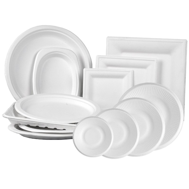 bagasse products006