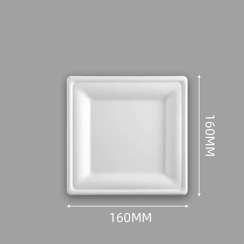 6 inch square bagasse plates (21)