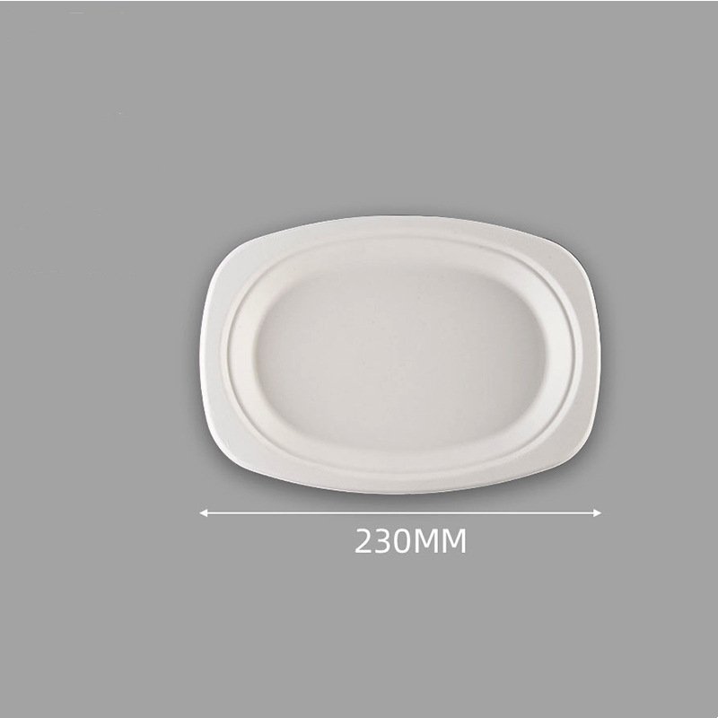 rectangular bagasse plates 18