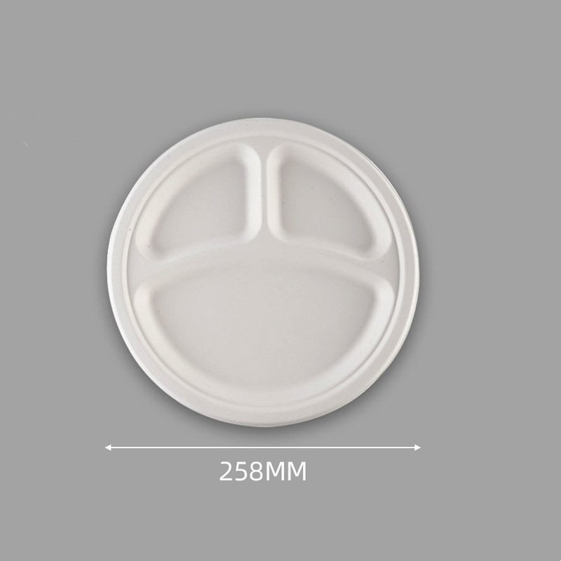 10 inch bagasse plates 3 compartment 1