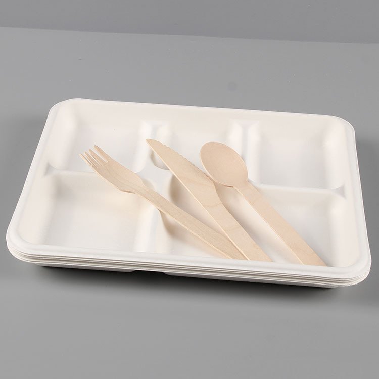 bagasse products002