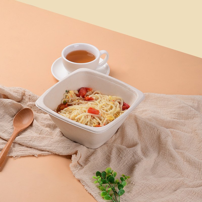 bagasse square bowls with pet lids1