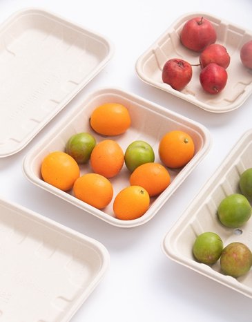 compostable pulp fruit trays