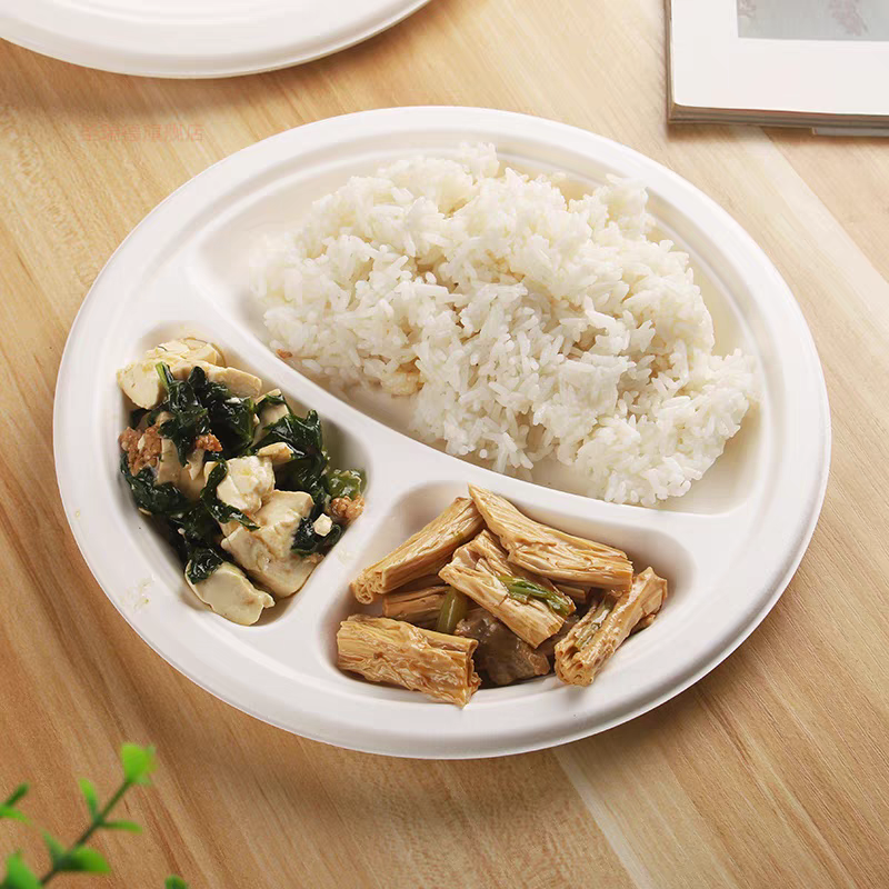 eco friendly bagasse plate with rice